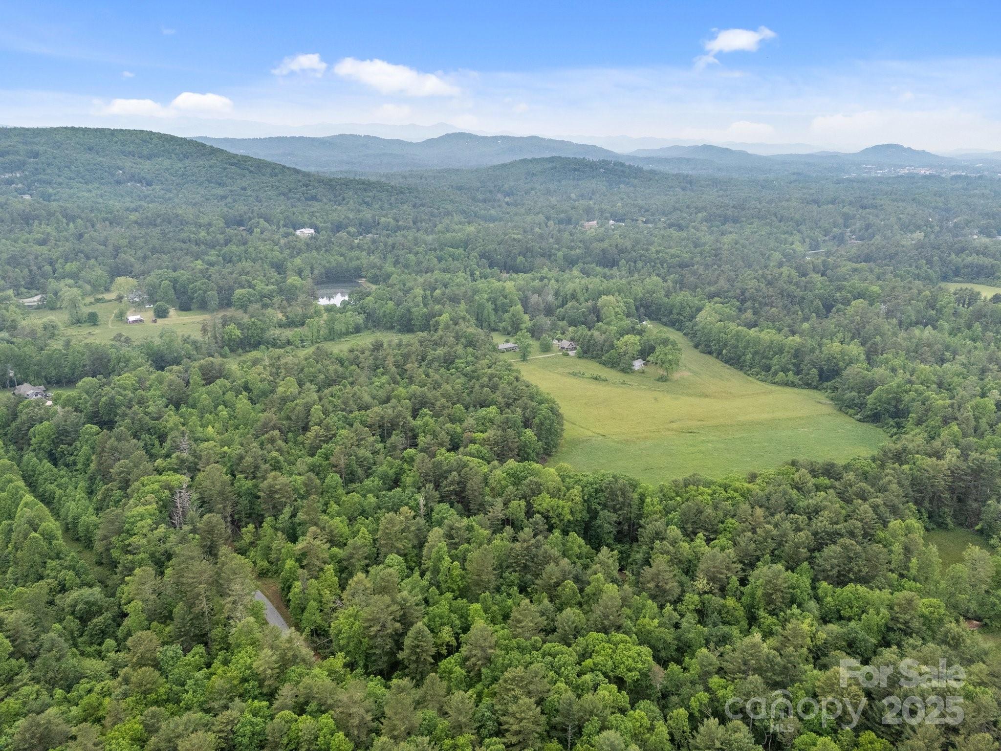000 Red Fox Lane Flat Rock NC 28731