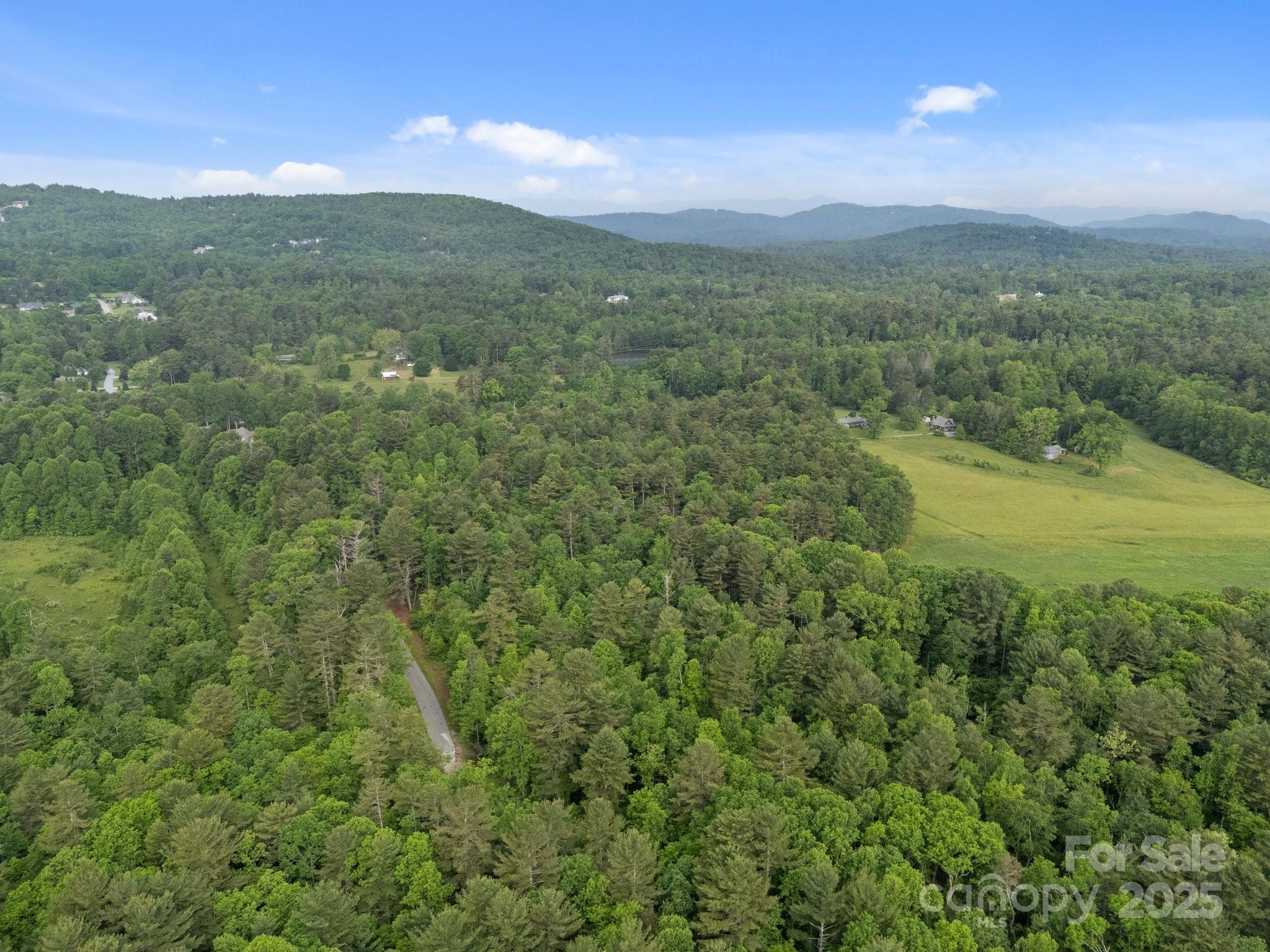 000 Red Fox Lane Flat Rock NC 28731