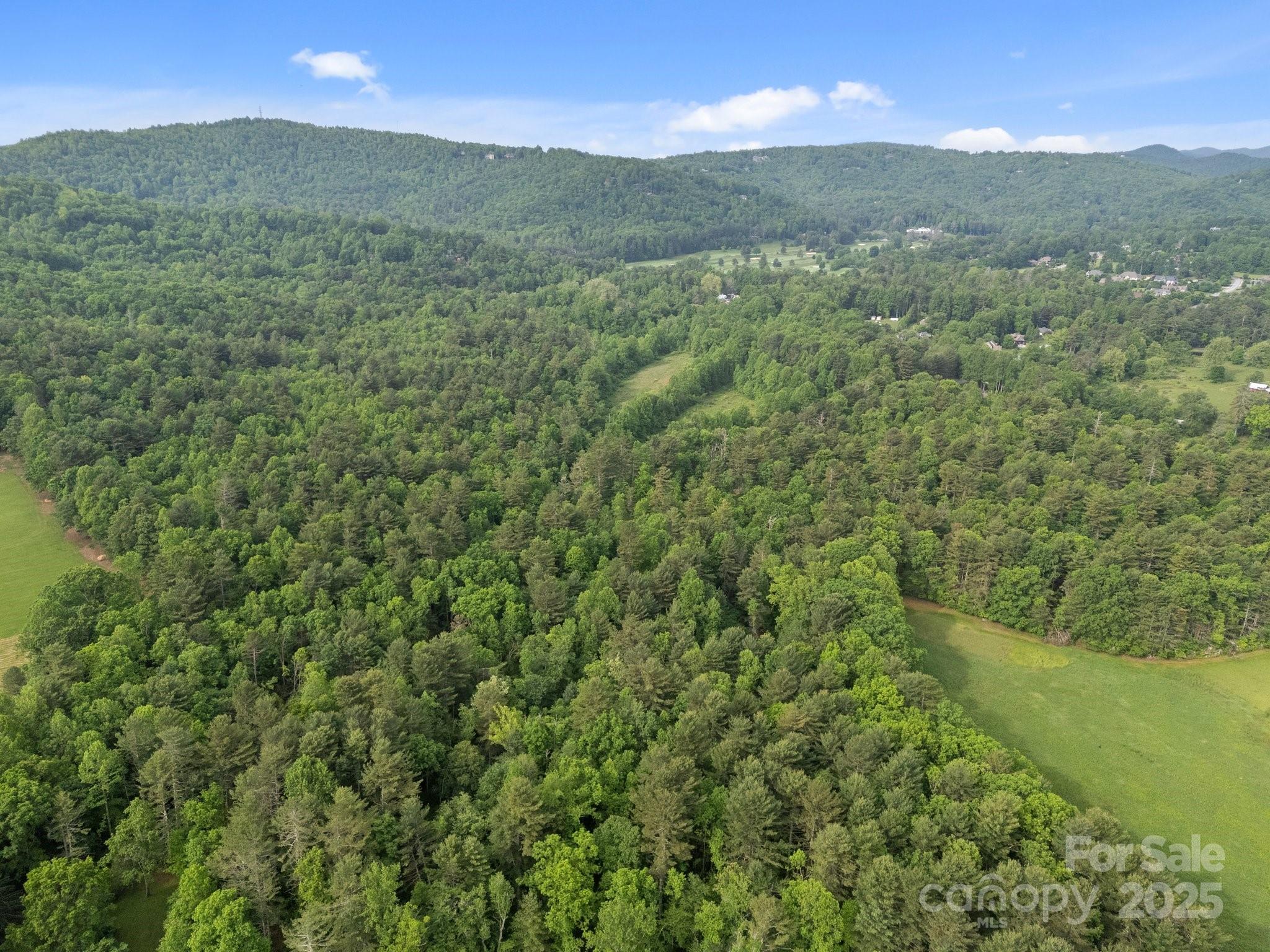 000 Red Fox Lane Flat Rock NC 28731