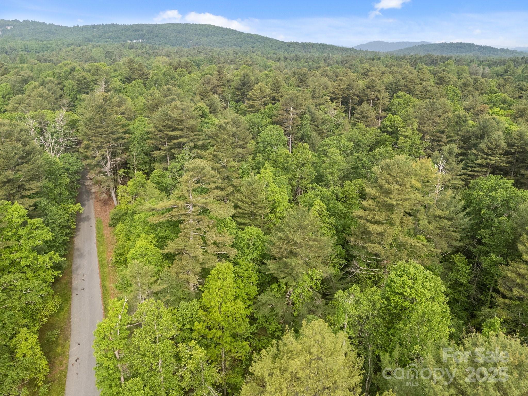 000 Red Fox Lane Flat Rock NC 28731