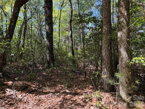 Tbd Staghorn Road Purlear NC 28665