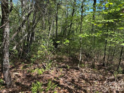 Tbd Staghorn Road Purlear NC 28665