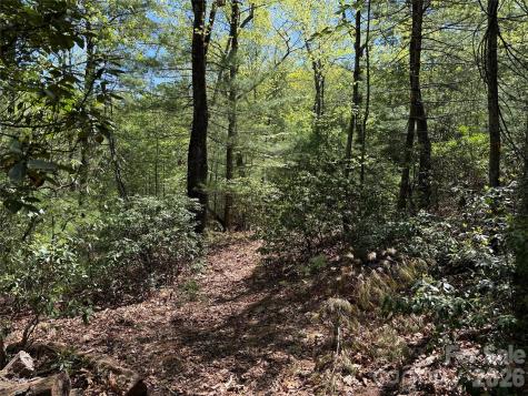 Tbd Staghorn Road Purlear NC 28665