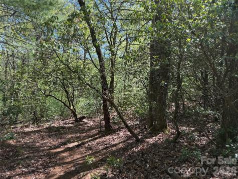 Tbd Staghorn Road Purlear NC 28665