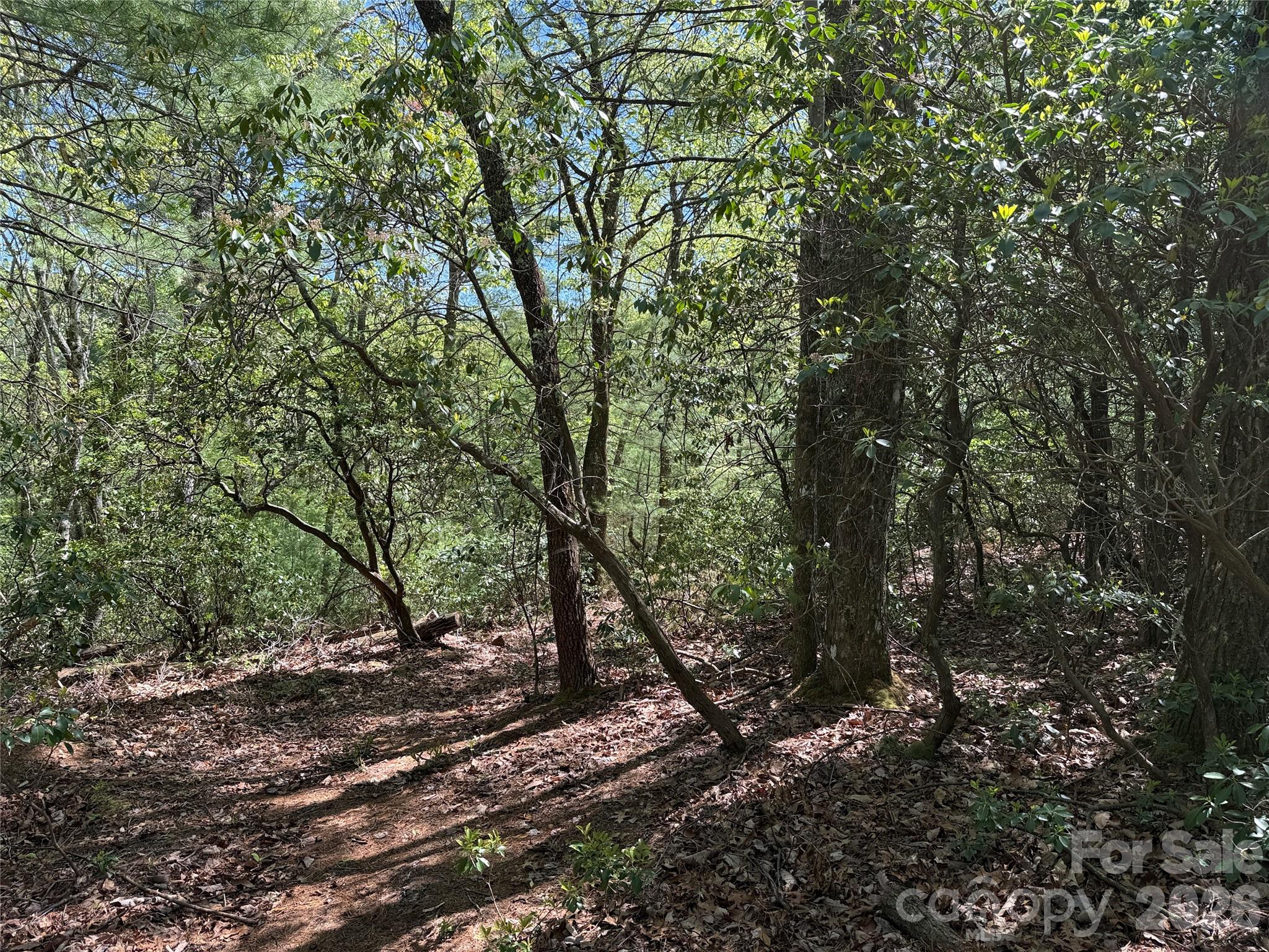 Tbd Staghorn Road Purlear NC 28665