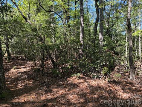 Tbd Staghorn Road Purlear NC 28665