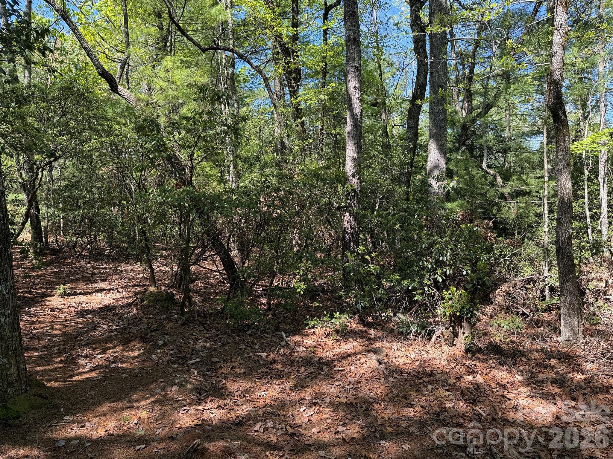 Tbd Staghorn Road Purlear NC 28665