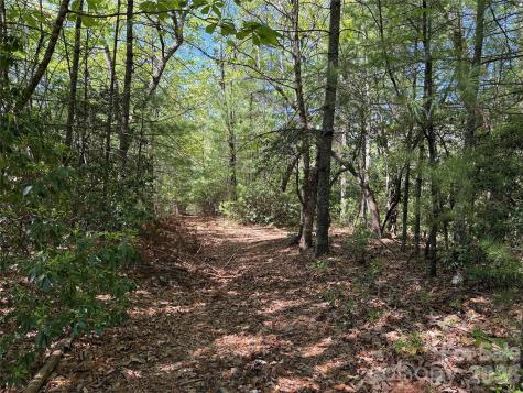 Tbd Staghorn Road Purlear NC 28665
