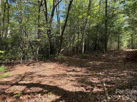 Tbd Staghorn Road Purlear NC 28665