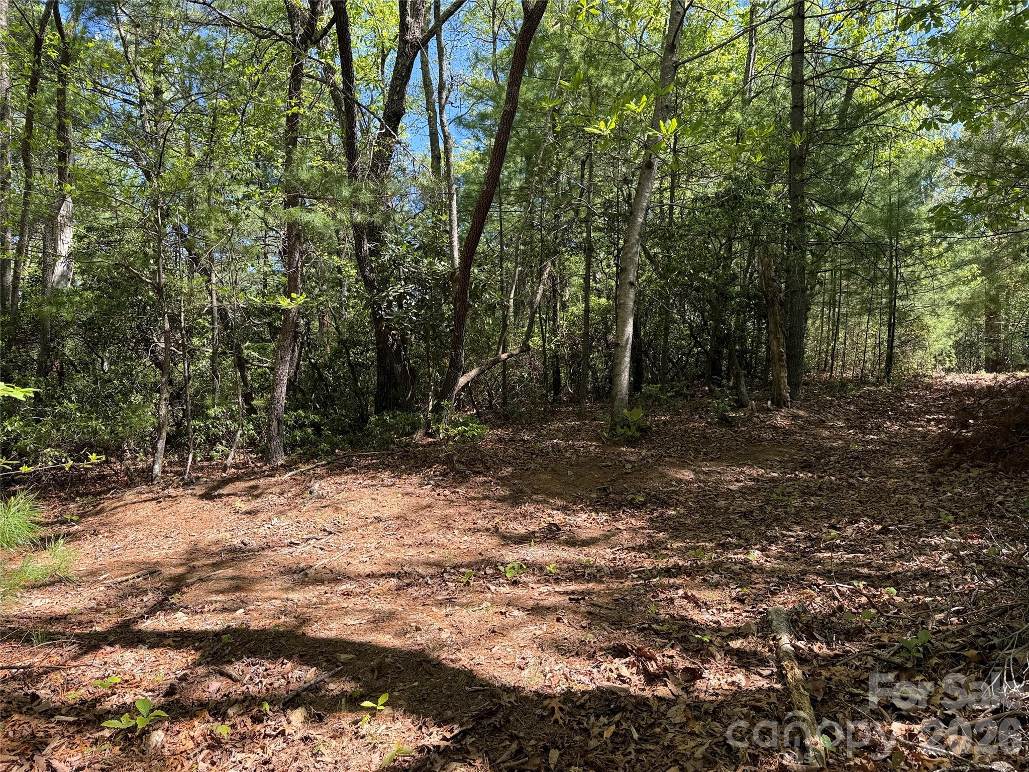 Tbd Staghorn Road Purlear NC 28665