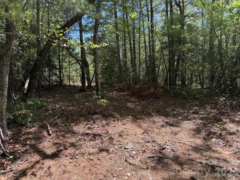 Tbd Staghorn Road Purlear NC 28665