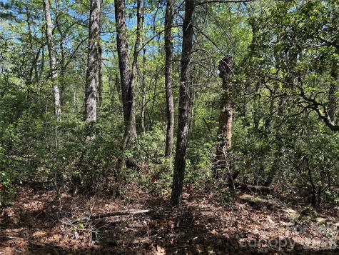 Tbd Staghorn Road Purlear NC 28665