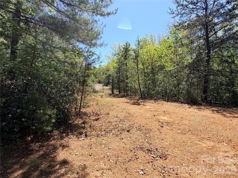 Tbd Staghorn Road Purlear NC 28665