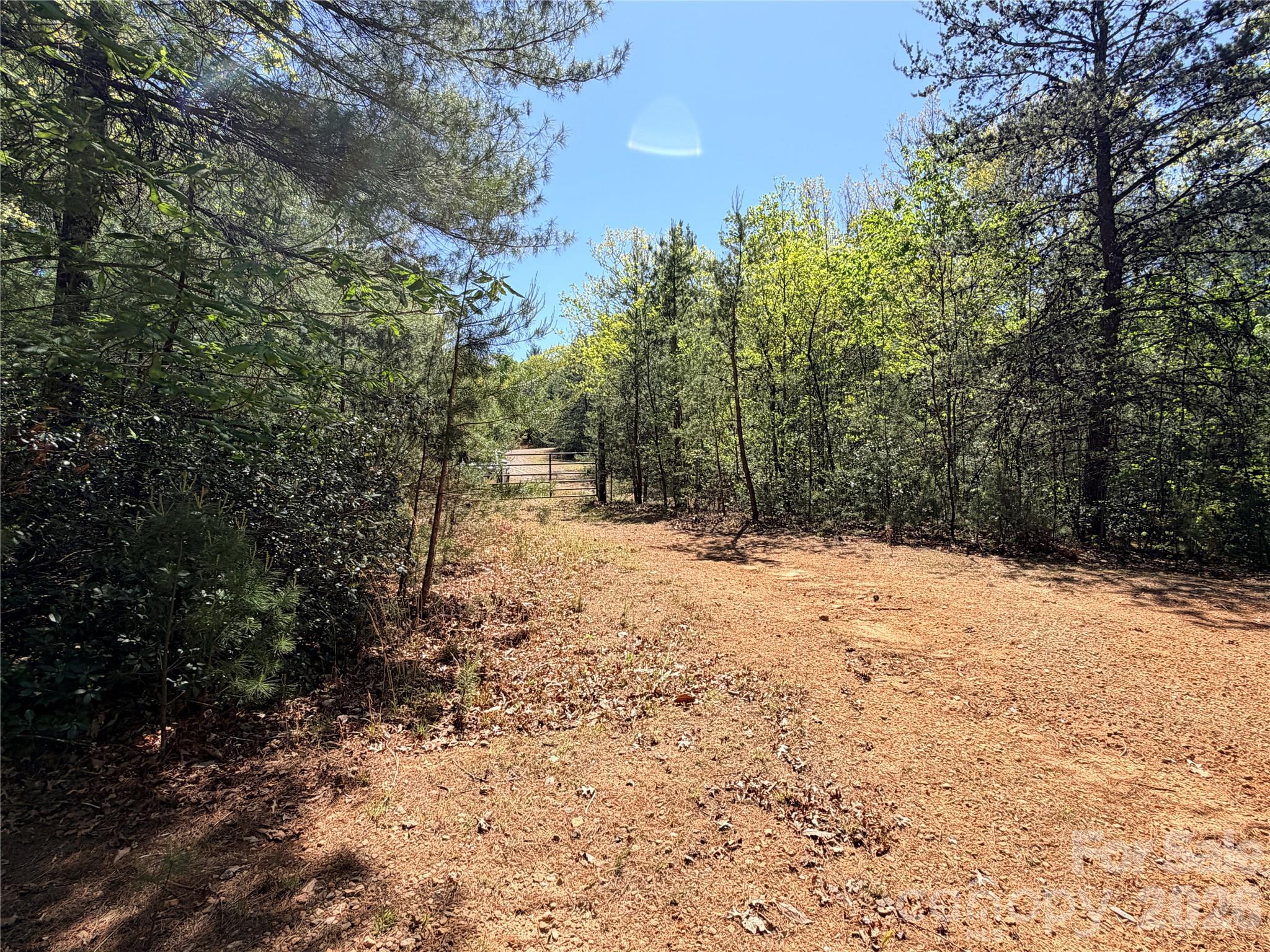 Tbd Staghorn Road Purlear NC 28665