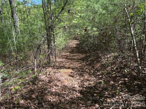 Tbd Staghorn Road Purlear NC 28665