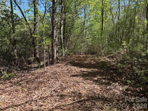 Tbd Staghorn Road Purlear NC 28665
