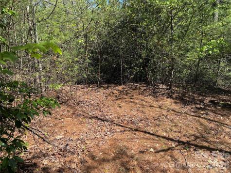 Tbd Staghorn Road Purlear NC 28665