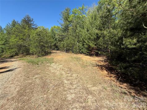 Tbd Staghorn Road Purlear NC 28665