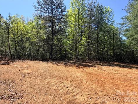 Tbd Staghorn Road Purlear NC 28665