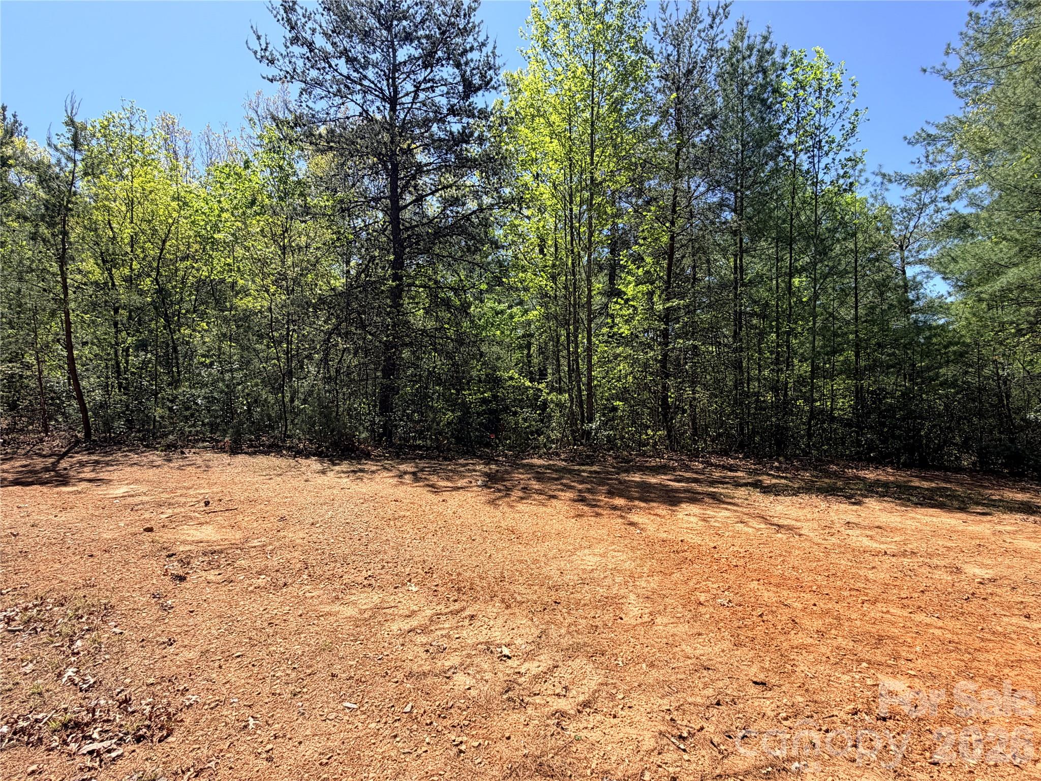 Tbd Staghorn Road Purlear NC 28665