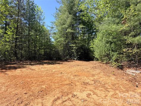 Tbd Staghorn Road Purlear NC 28665