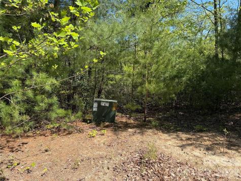 Tbd Staghorn Road Purlear NC 28665