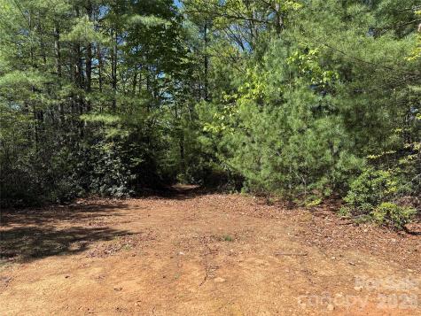 Tbd Staghorn Road Purlear NC 28665