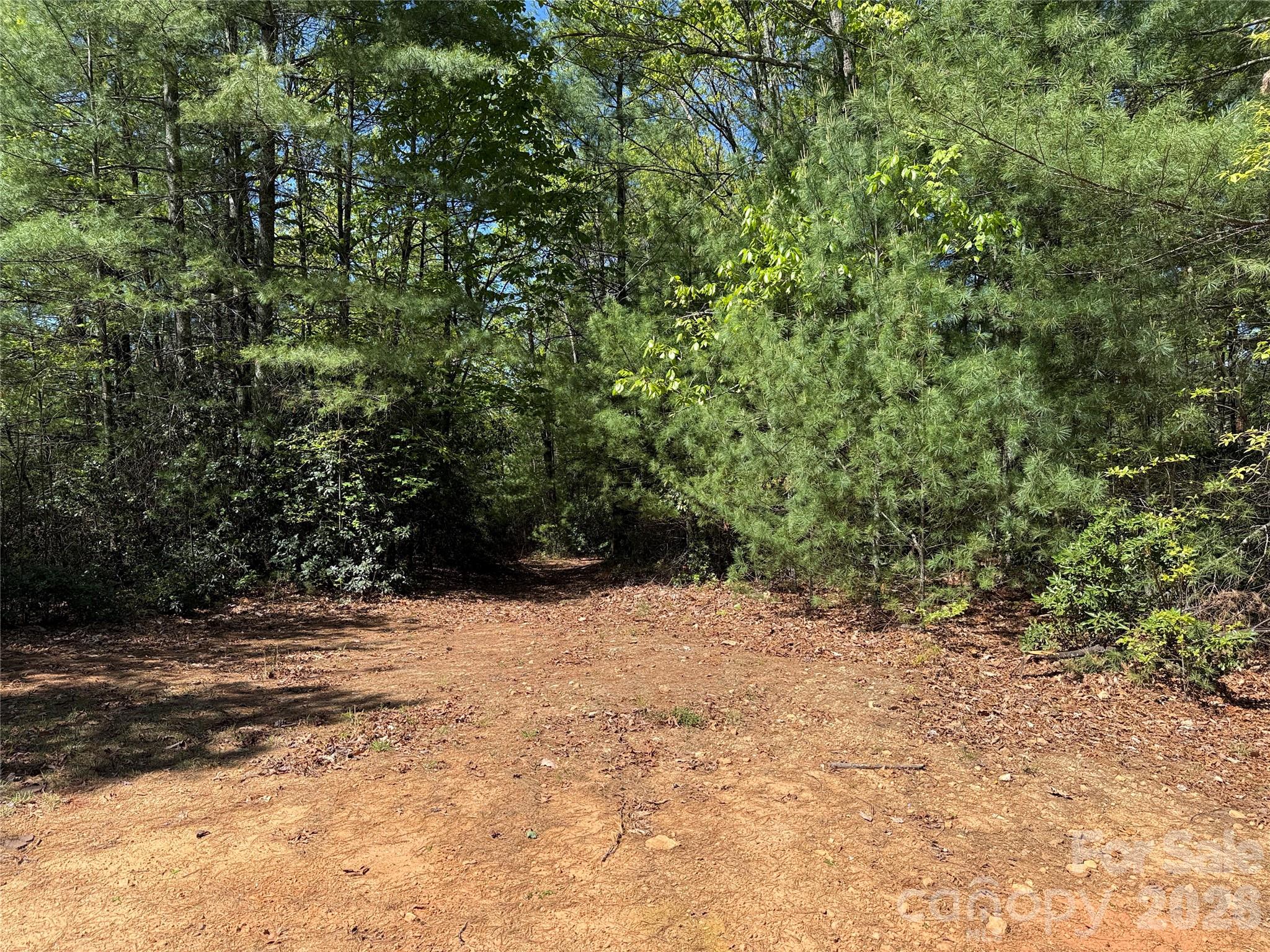 Tbd Staghorn Road Purlear NC 28665