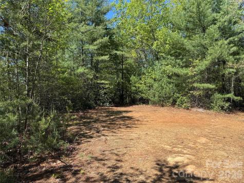 Tbd Staghorn Road Purlear NC 28665