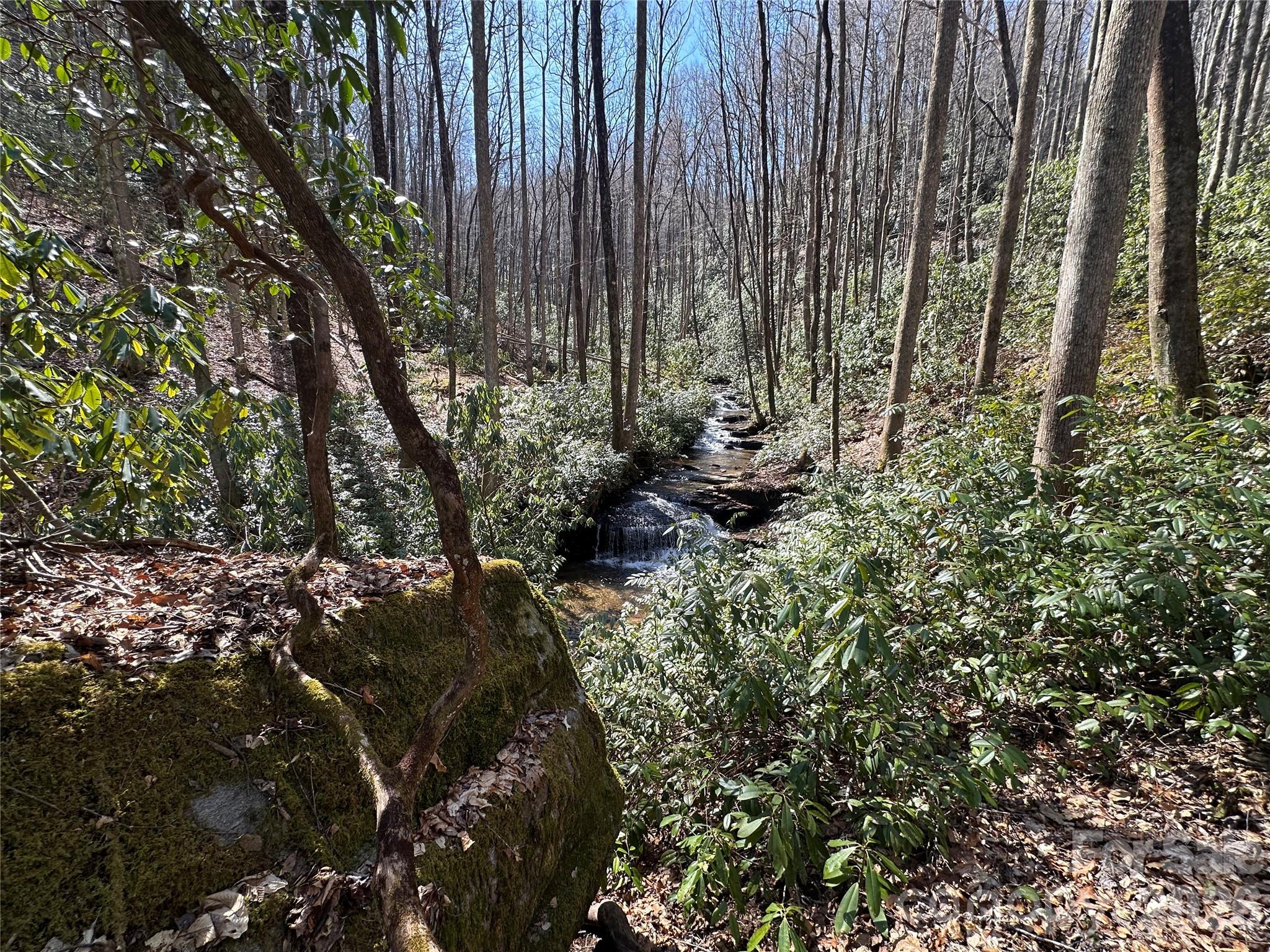 361 Rooster Cove Brevard NC 28712