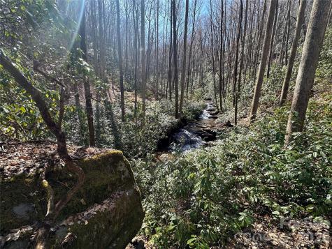 361 Rooster Cove Brevard NC 28712