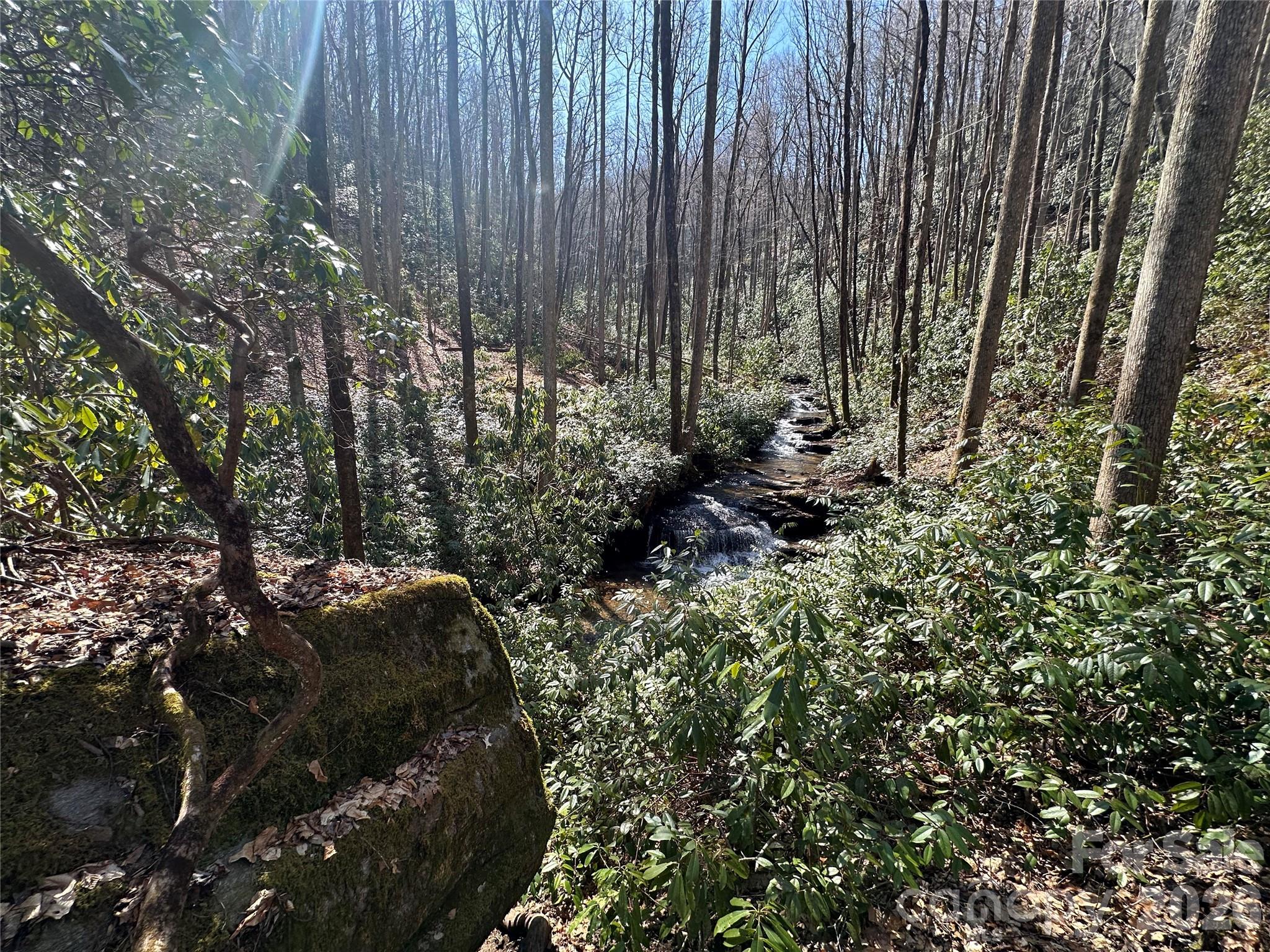 361 Rooster Cove Brevard NC 28712