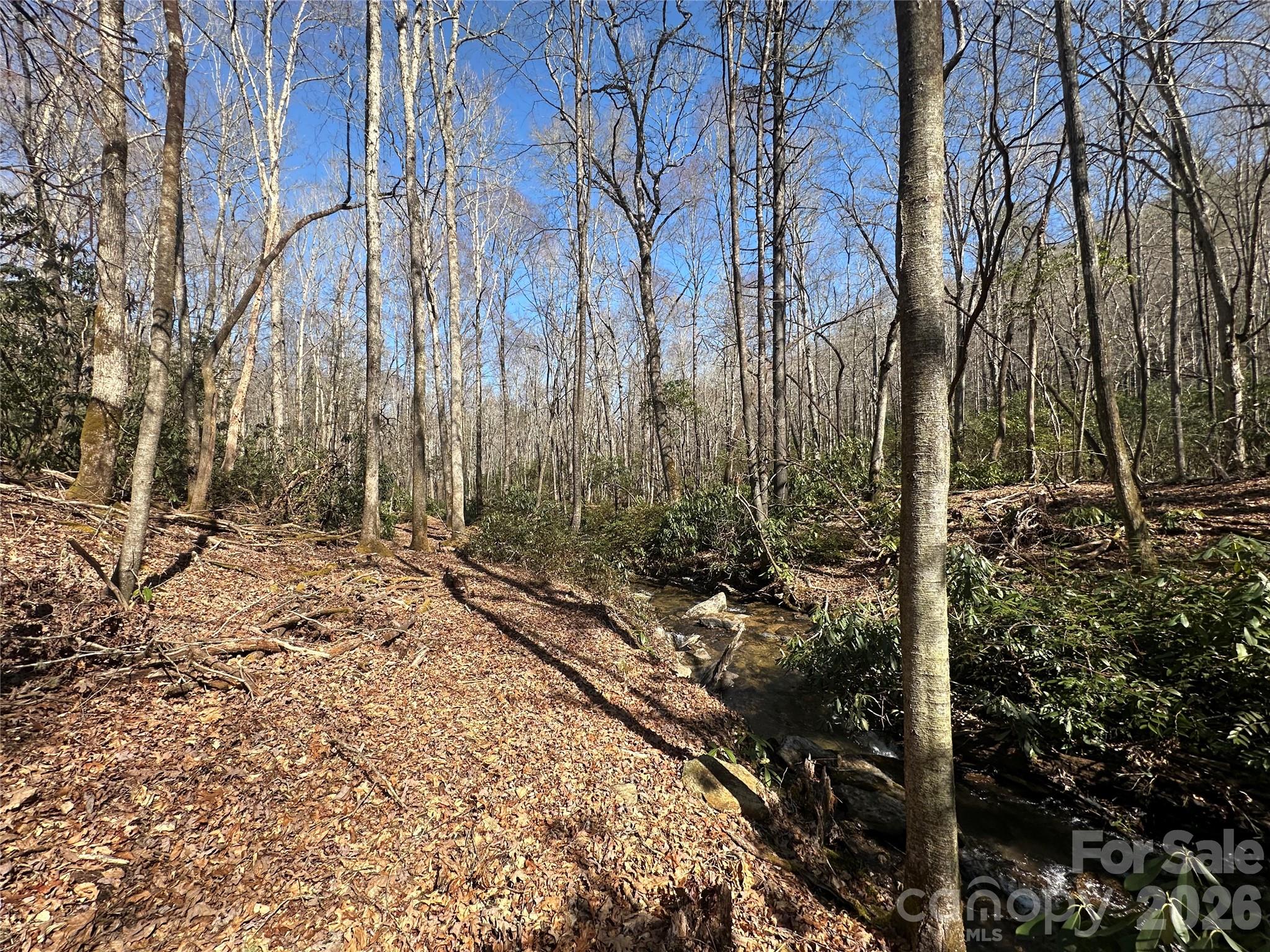 361 Rooster Cove Brevard NC 28712