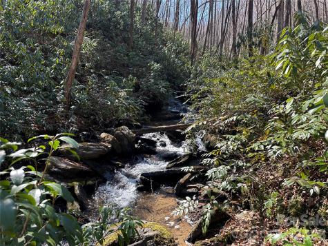 361 Rooster Cove Brevard NC 28712