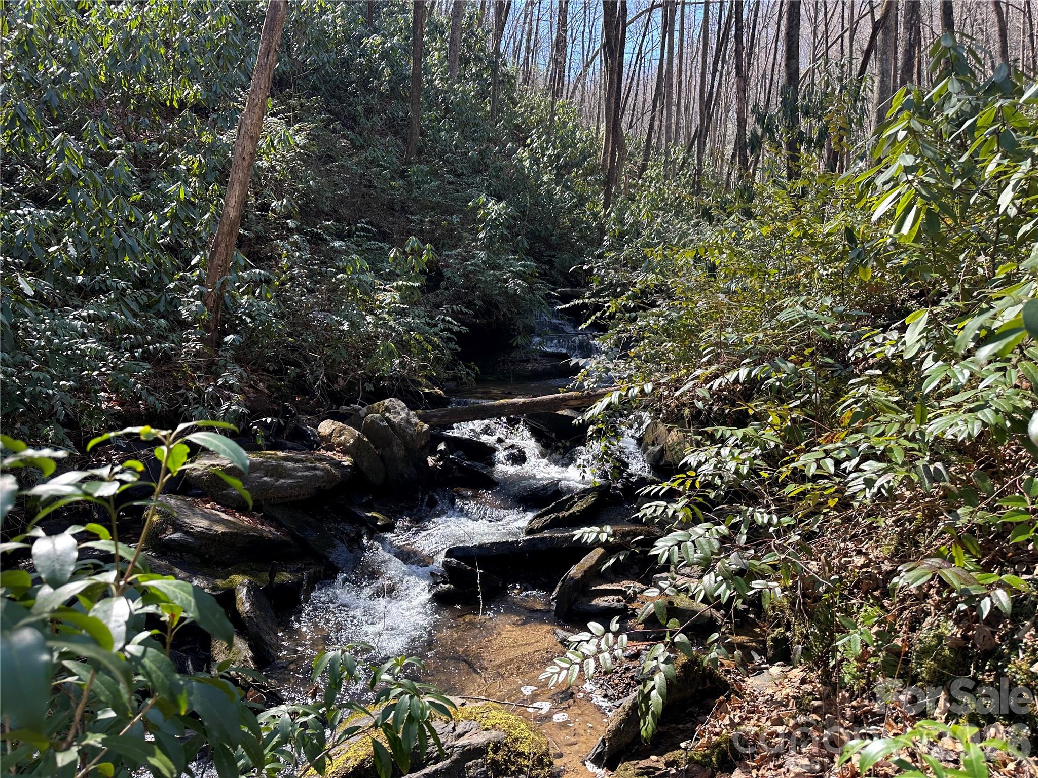 361 Rooster Cove Brevard NC 28712
