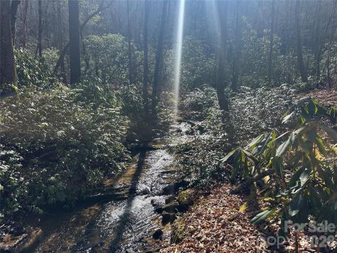 361 Rooster Cove Brevard NC 28712