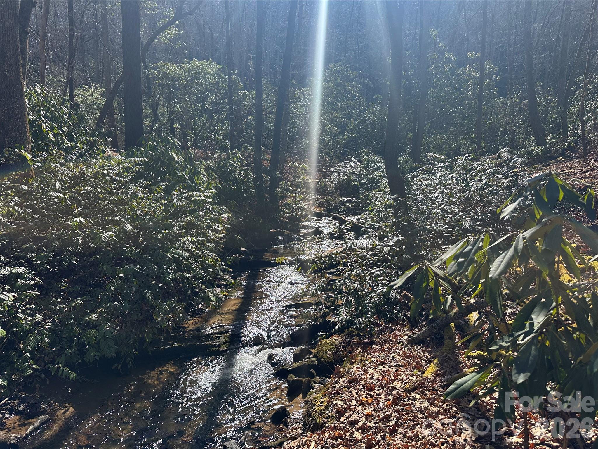 361 Rooster Cove Brevard NC 28712