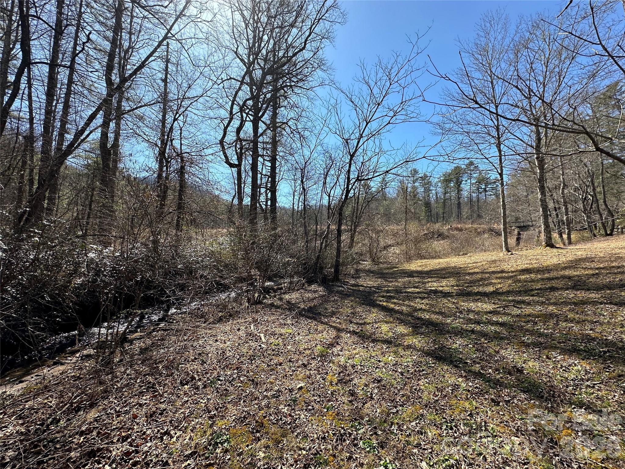 361 Rooster Cove Brevard NC 28712