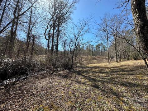 361 Rooster Cove Brevard NC 28712