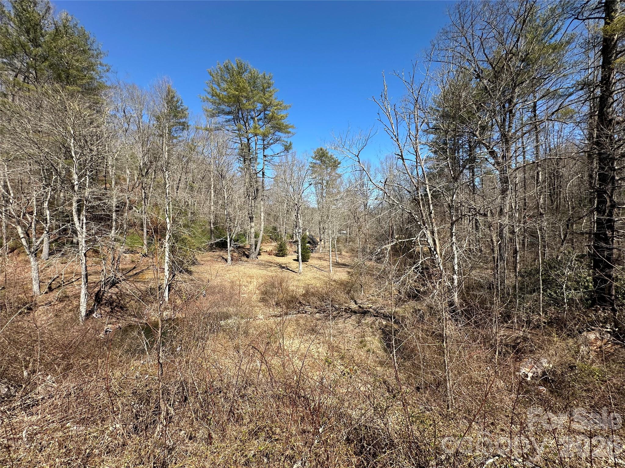 361 Rooster Cove Brevard NC 28712