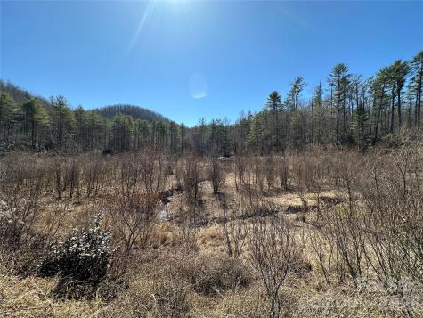 361 Rooster Cove Brevard NC 28712