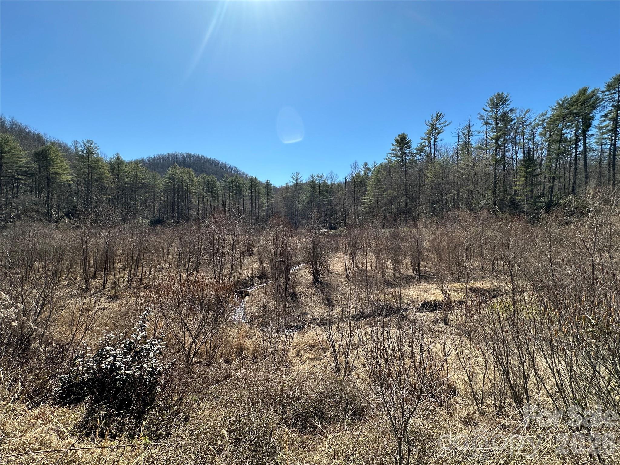 361 Rooster Cove Brevard NC 28712