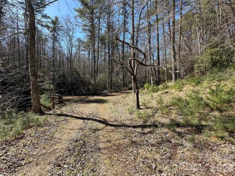 361 Rooster Cove Brevard NC 28712
