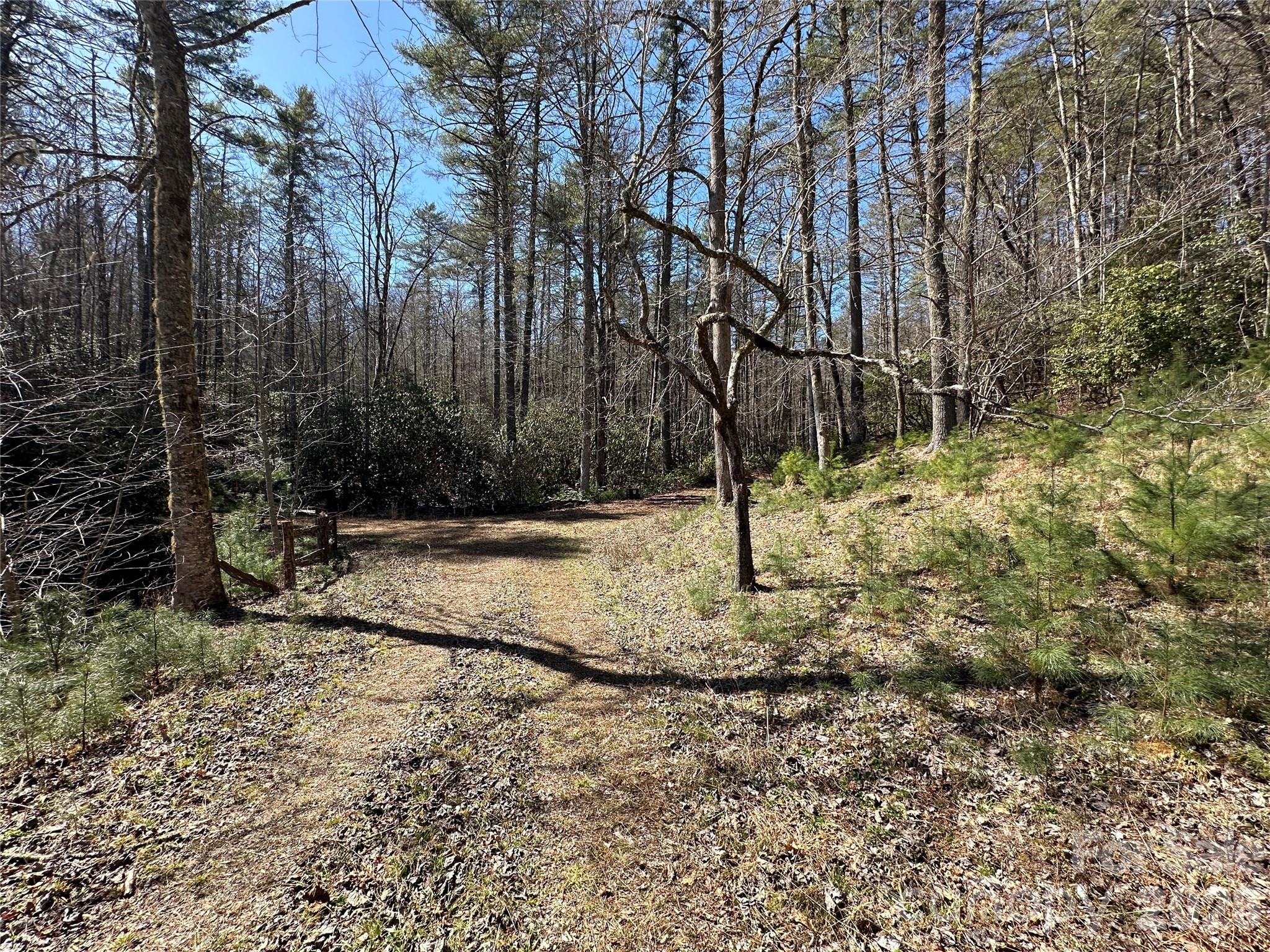 361 Rooster Cove Brevard NC 28712
