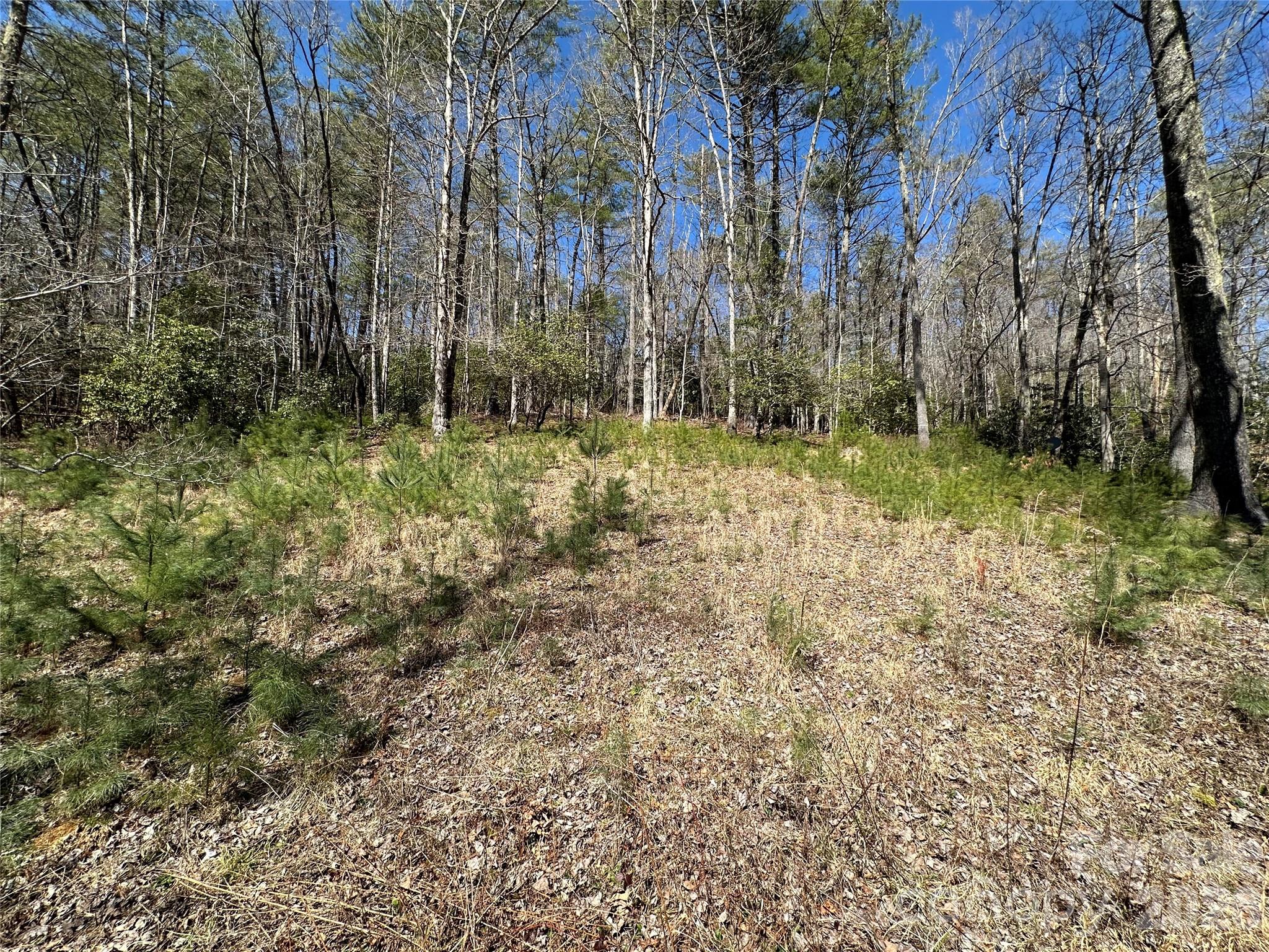 361 Rooster Cove Brevard NC 28712