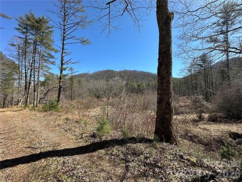 361 Rooster Cove Brevard NC 28712