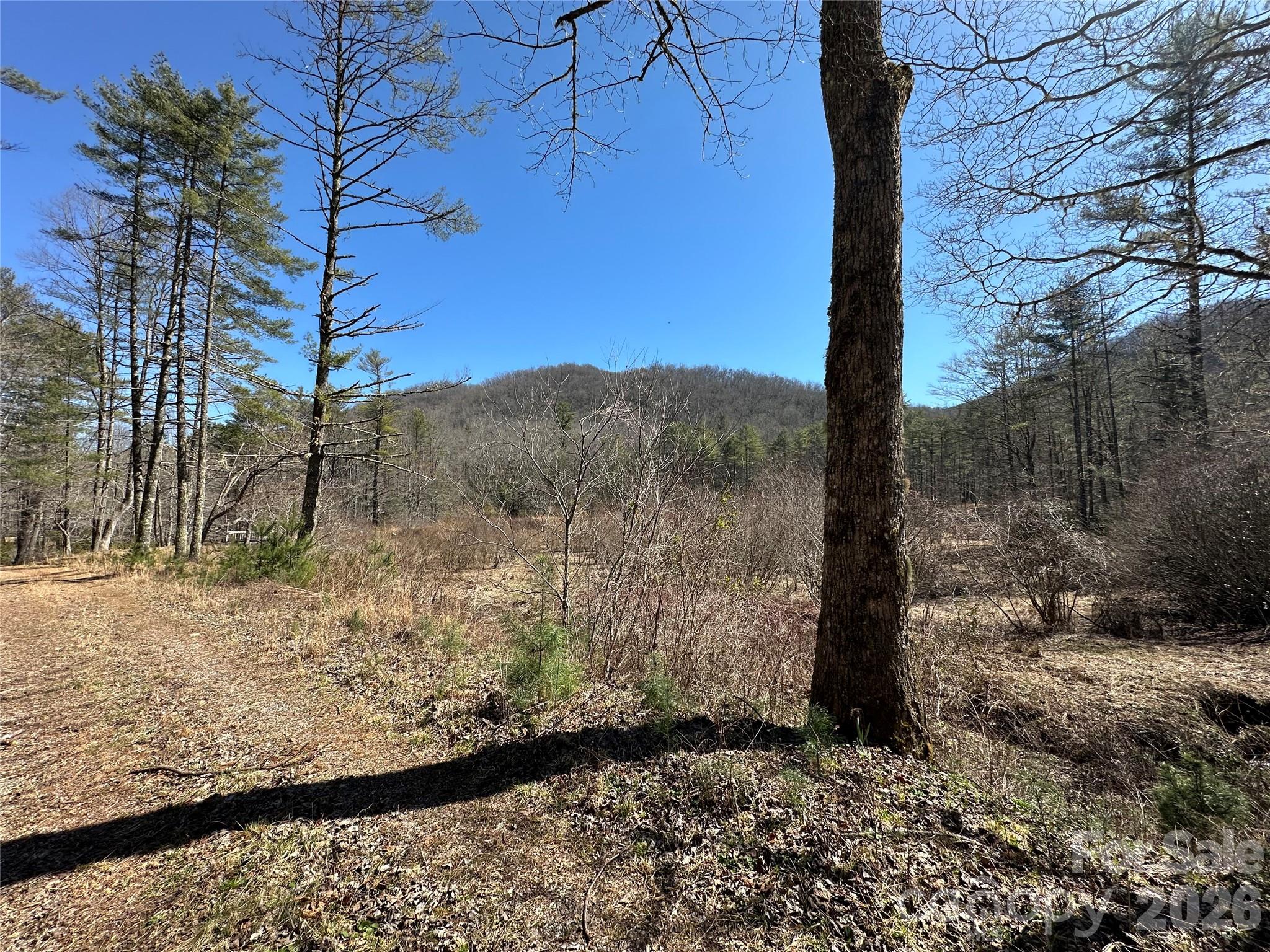 361 Rooster Cove Brevard NC 28712