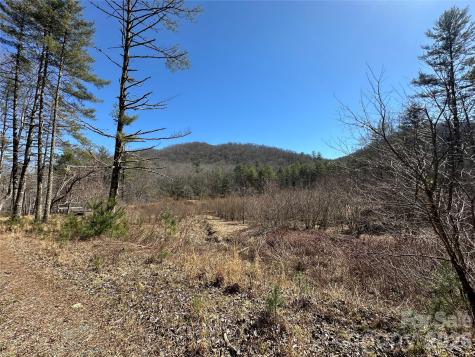 361 Rooster Cove Brevard NC 28712