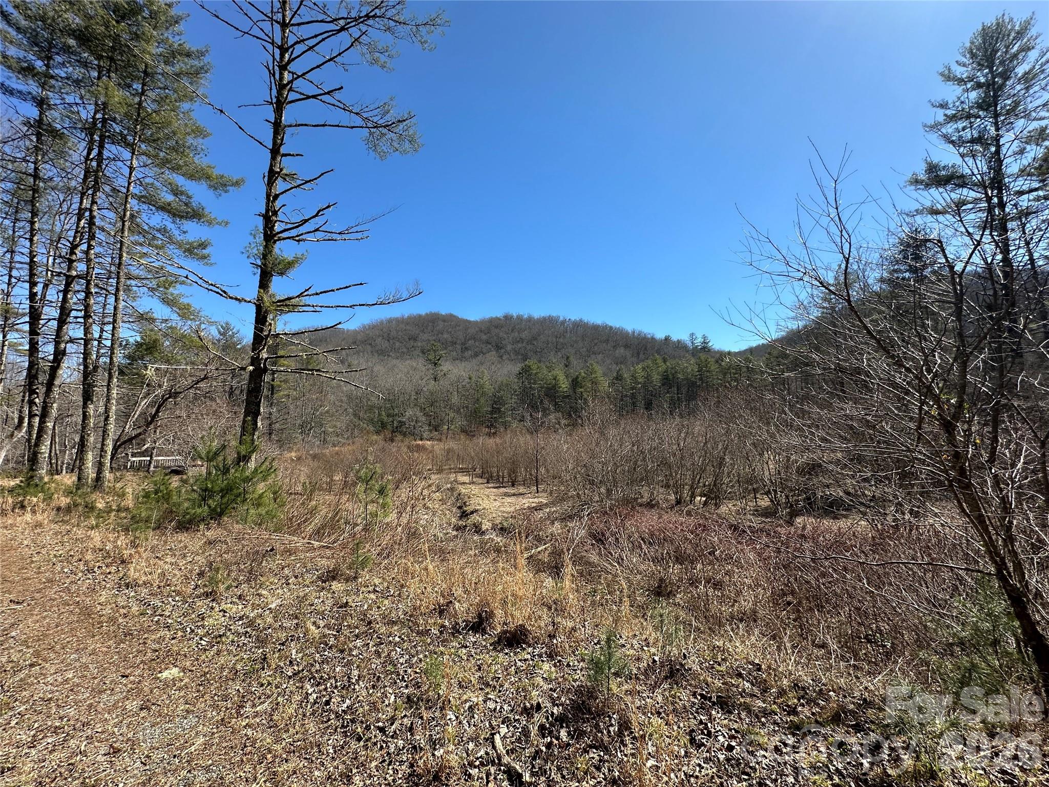 361 Rooster Cove Brevard NC 28712