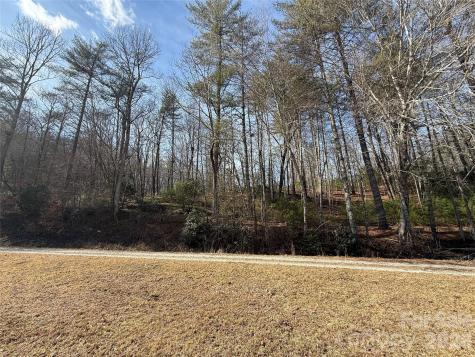 361 Rooster Cove Brevard NC 28712